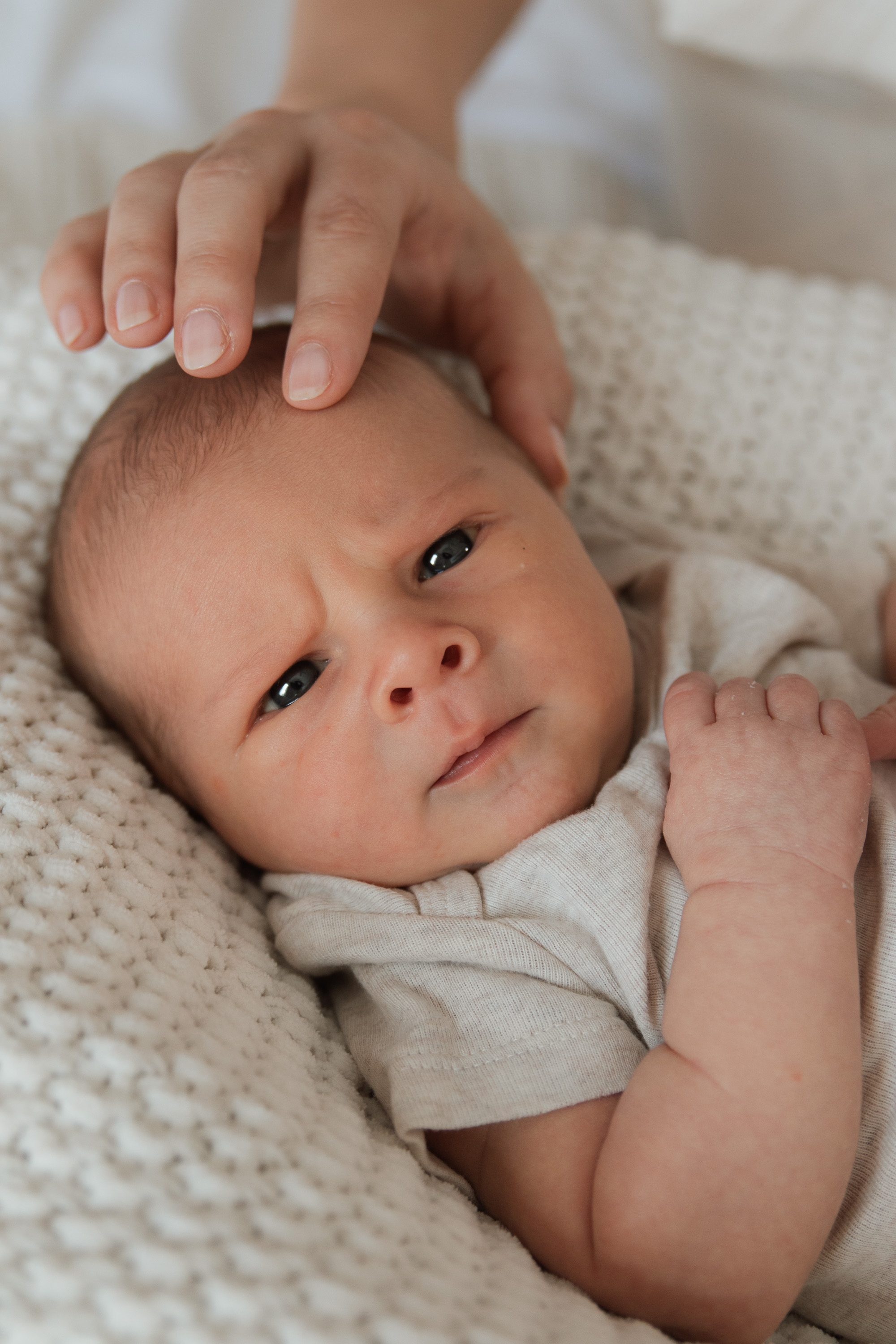 Newborn photography session at Studio Louelle